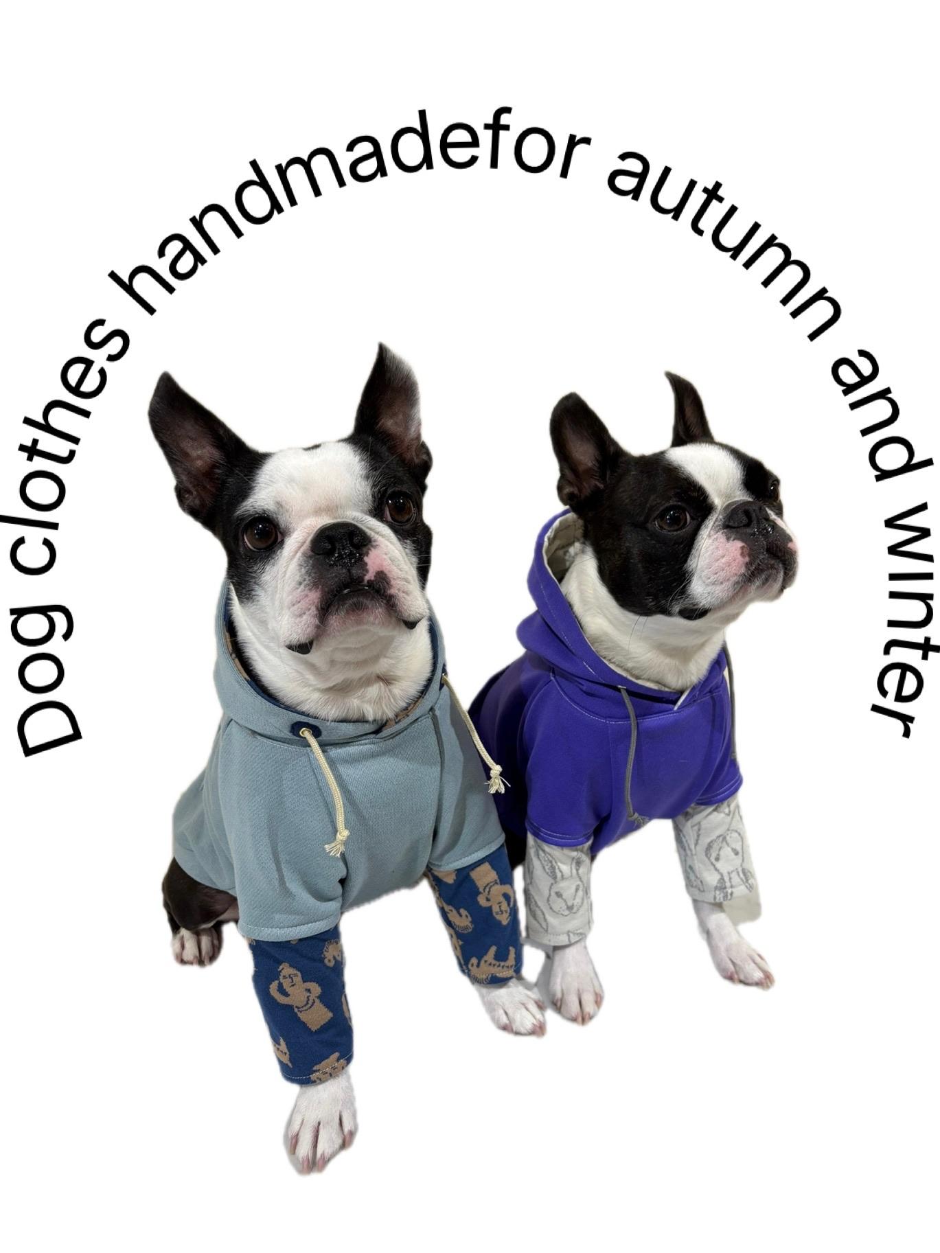 犬服　レイヤード風パーカー　⭐︎ライトブルー×ハニワ⭐︎　◎Lサイズ◎ ハンドメイド