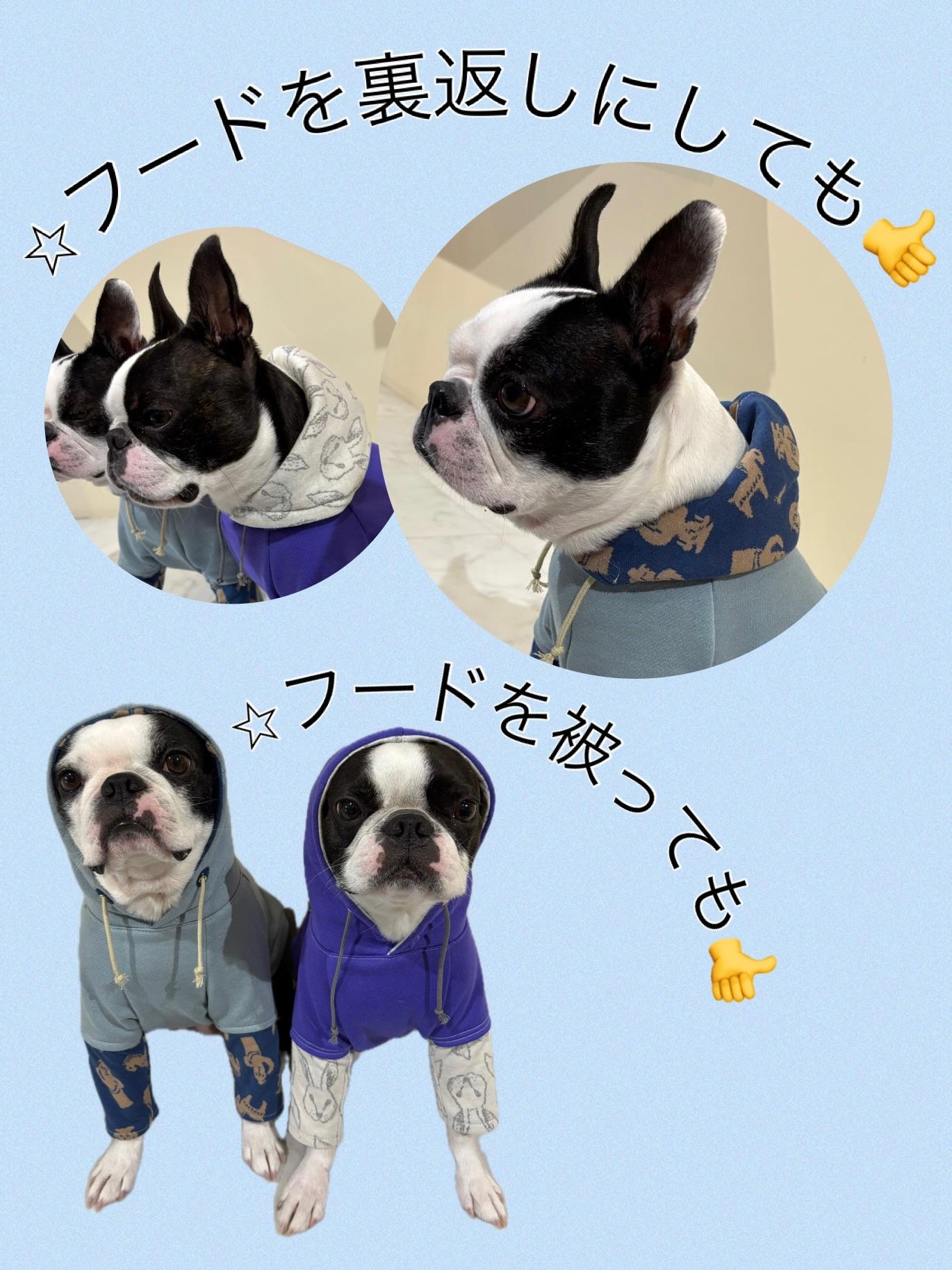 犬服　レイヤード風パーカー　⭐︎チャコールグレー×オバケ⭐︎　◎Lサイズ◎ ハンドメイド | 5枚目