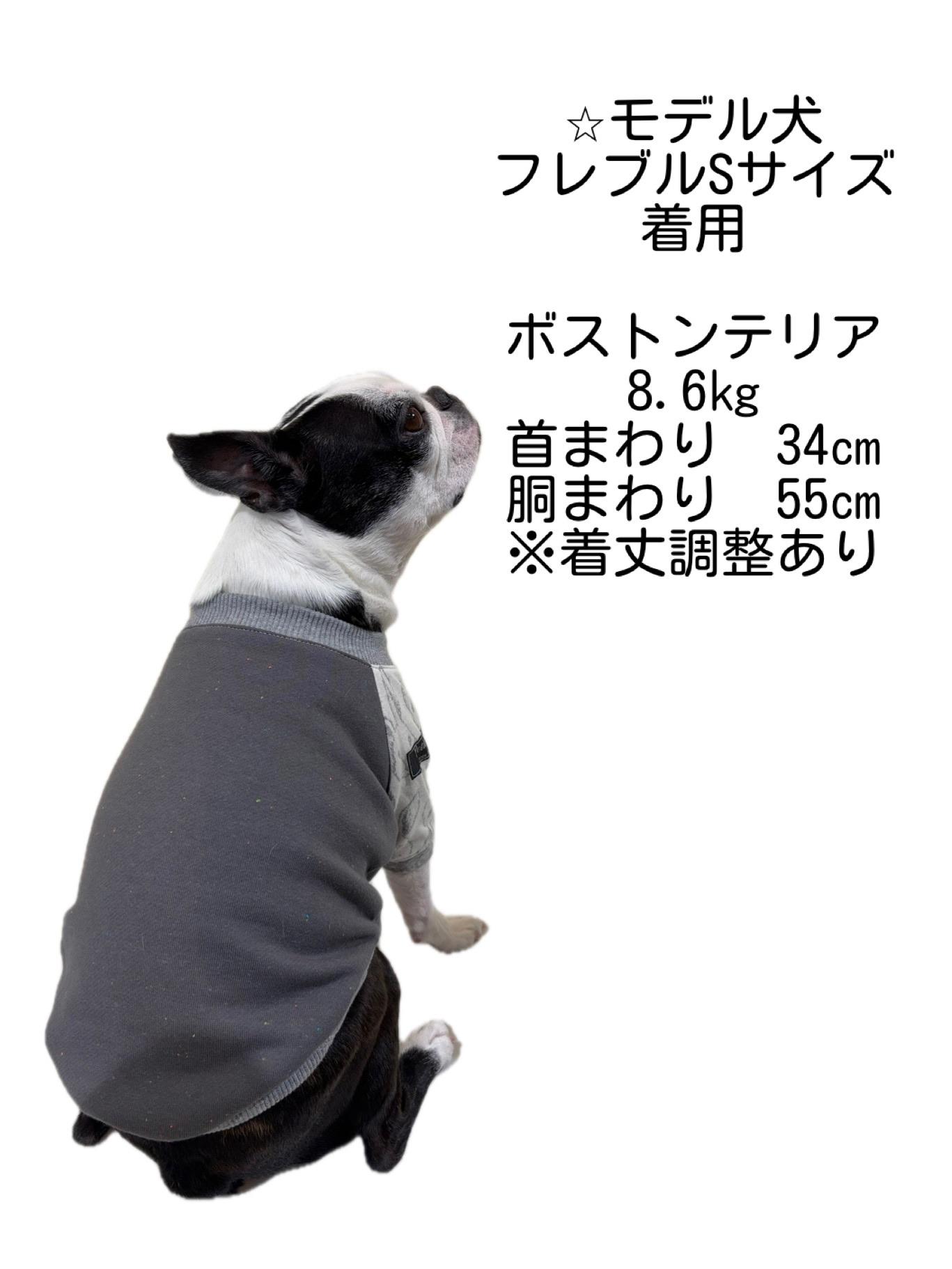 犬服　maffonラグランスリーブ　⭐︎カラーネップ×うさぎ⭐︎　　◎フレブルSサイズ◎ ハンドメイド | 6枚目