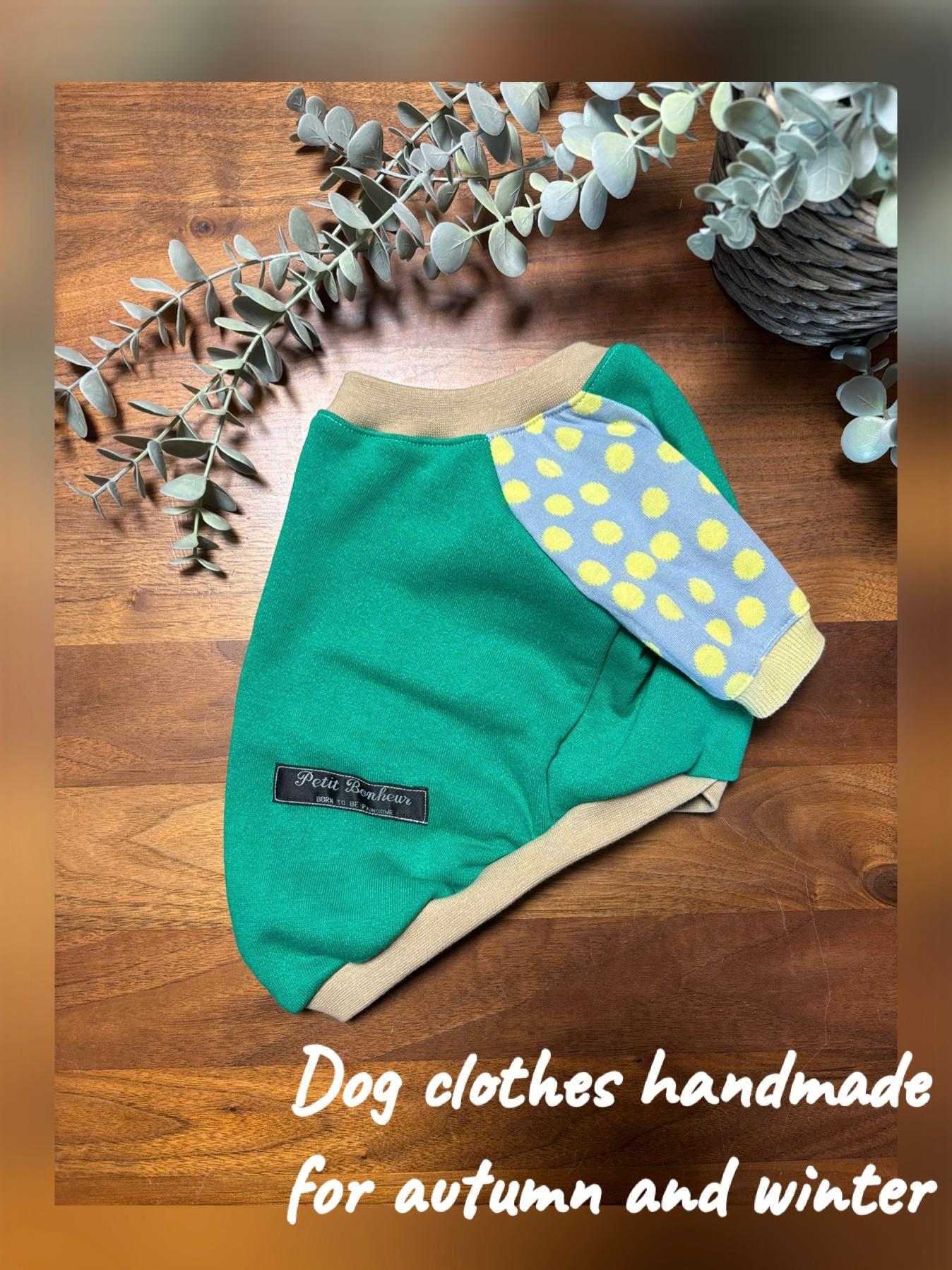 犬服　maffonラグランスリーブ　⭐︎ミドリ×ドット⭐︎　　◎フレブルSサイズ◎ ハンドメイド