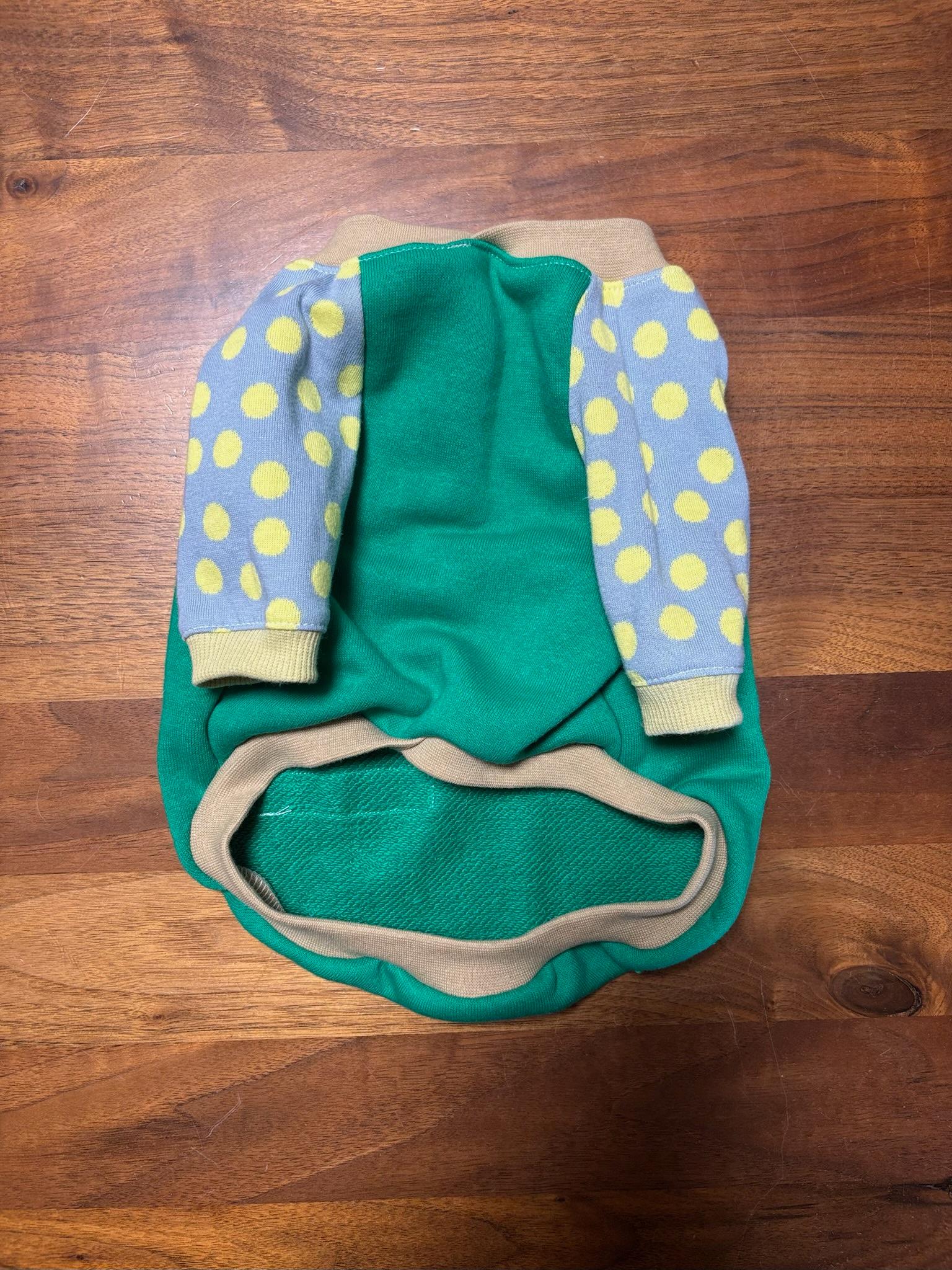 犬服　maffonラグランスリーブ　⭐︎ミドリ×ドット⭐︎　　◎フレブルSサイズ◎ ハンドメイド | 5枚目