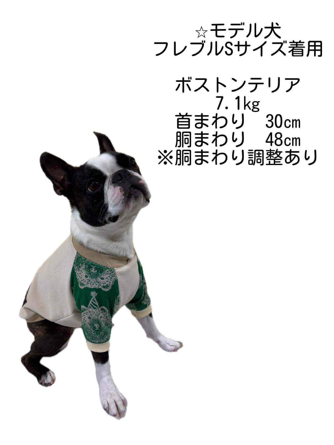 犬服　maffonラグランスリーブ　⭐︎ボーダー×くま⭐︎　　◎フレブルSサイズ◎ ハンドメイド | 6枚目